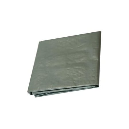 Harpster Of Philipsburg Medium Duty Tarp, Silver, High-Density Polyethylene S25x25